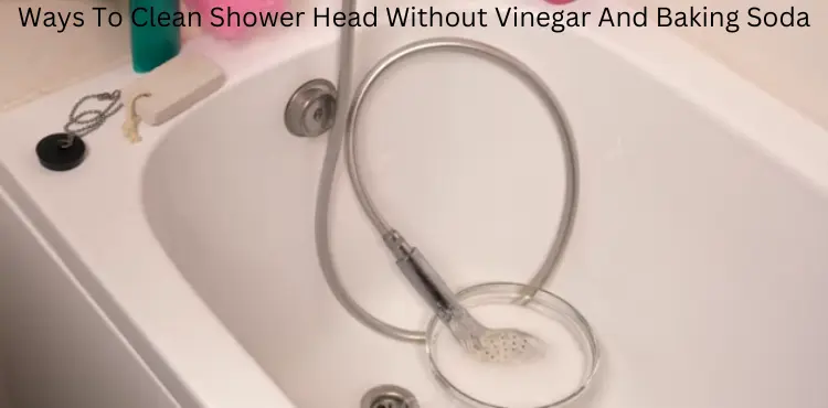 how to clean shower head without vinegar and baking soda