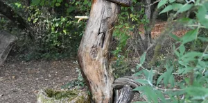 how to insulate outdoor faucet