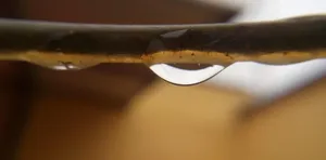 does hot water freeze faster than cold water mythbusters