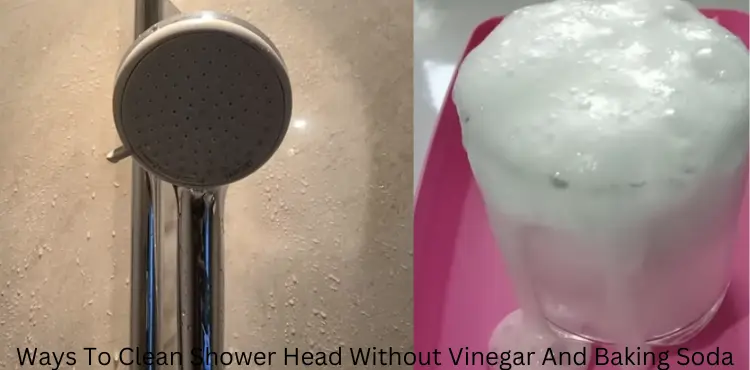 How To Clean Shower Head Without Vinegar And Baking Soda